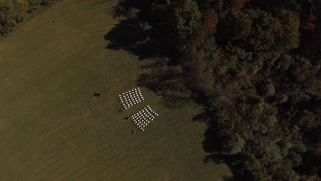 Drone-shot-of-outdoor-wedding-venue-setup-with-chairs,-cinematic-downward-angle-aerial-shot