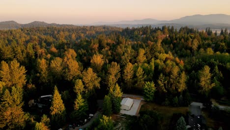 cinematic-sunset-drone-shot-in-forest-with-a-remote-residential-houses-with-sun-rays-peaking-beautiful-aerial-4k-filmed-in-Renton-Washington-with-mountains-in-background