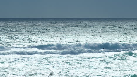 Große-Wellen,-Die-Sich-Bei-Starkem-Wind-In-Der-Nähe-Der-Küste-Brechen,-Durchfliegende-Haubentaucher-Und-Möwen