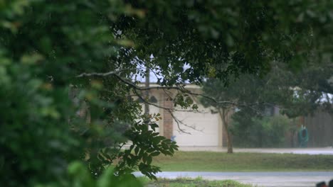 Neighborhood-trees-blowing-in-hurricane-wind-gusts