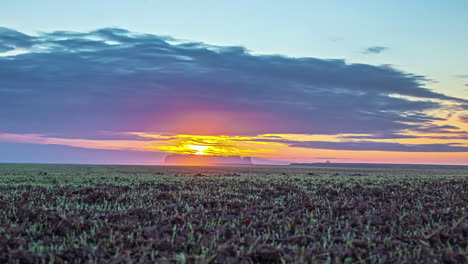 A-farmland-field-of-crops-during-a-golden-sunrise---tranquil,-wide-angle-time-lapse
