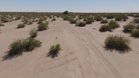 Aerial-Shot-of-White-Car-Off-Roading-in-Southwestern-Desert,-Vehicle-as-Seen-by-Drone