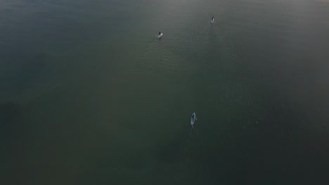 Standup-Paddleboarder,-Die-Auf-Dem-Meer-Paddeln,-Ferne-Luftaufnahme