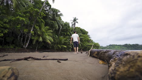 young-traveller-backpackers-walking-on-wooden-trunk-palm-tree-on-lonely-sand-beach-in-Costa-Rica-Central-America-paradise