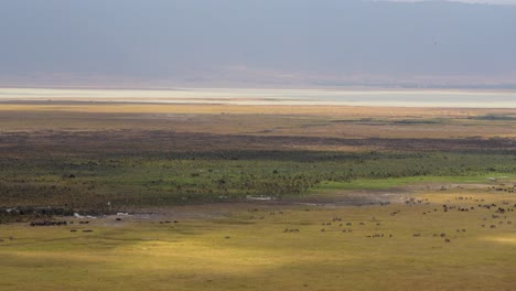 Plains-of-the-Ngorongoro-natural-preserve-Tanzania-Africa-with-assorted-animals-including-wildebeest,-Aerial-wide-angle-shot