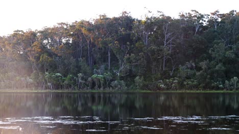 The-morning-sun-shining-on-the-Australian-bush-on-a-southern-lake
