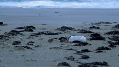 Plastic-bottle-on-the-beach,-trash-and-waste-litter-on-an-empty-Baltic-sea-white-sand-beach,-environmental-pollution-problem,-overcast-evening,-low-medium-shot