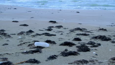 Empty-white-plastic-bottle,-trash-and-waste-litter-on-an-empty-Baltic-sea-white-sand-beach,-environmental-pollution-problem,-overcast-evening,-medium-shot