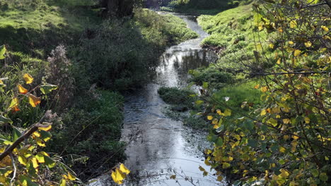 A-small-stream-running-through-picturesque-countryside-in-the-autumn,-Worcestershire,-England
