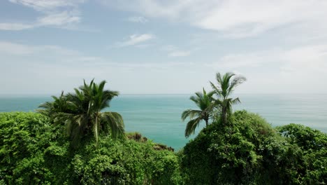 Palmen-Auf-Einer-Kleinen-Tropischen-Insel-Im-Pazifischen-Ozean,-Costa-Rica