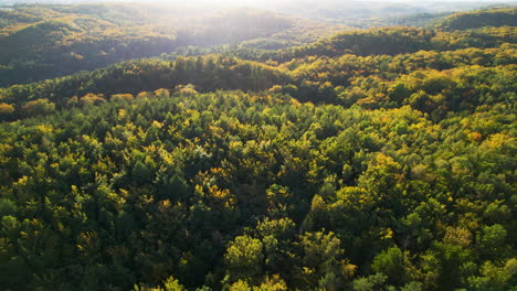 Beautiful-aerial-shot-tracking-backwards-revealing-more-and-more-of-a-vastly-dense-forest