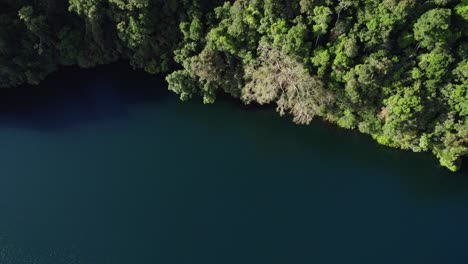 Beautiful-And-Serene-Lake-Eacham-In-Atherton-Tableland,-Queensland,-Australia---aerial-shot