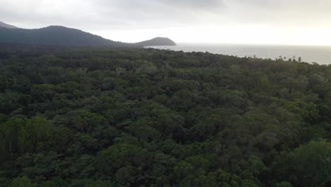 Flight-Over-Dense-Rainforests-In-Daintree-National-Park-In-Far-North-Queensland,-Australia---drone-shot