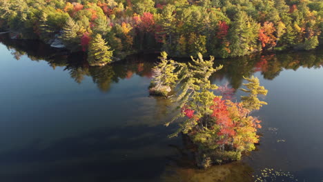 Schöne-Herbstbäume-In-Ruhigem-See-Mit-Himmelreflexionen-In-Ontario,-Kanada