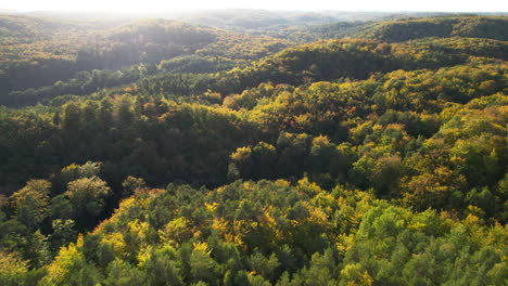 Luftaufnahmen-Fliegen-Schnell-über-Einen-Dichten-Wald-Voller-Ahorn,-Esche-Und-Pappel-Mit-Wunderschönen-Herbstfarben-überall