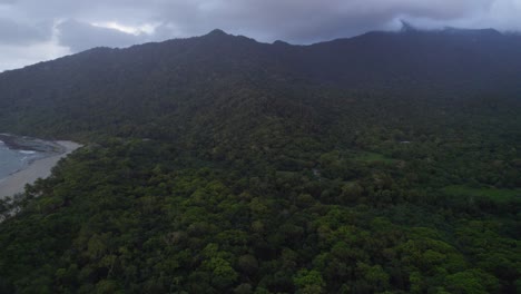 Tropical-Rainforest-And-Beach-At-The-Daintree-National-Park-In-Far-North-Queensland,-Australia---aerial-drone-shot