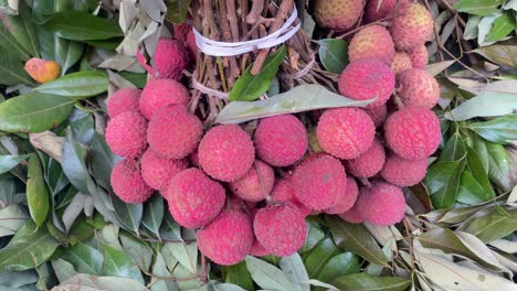 Several-lychee-fruits-band-together-in-a-farmland