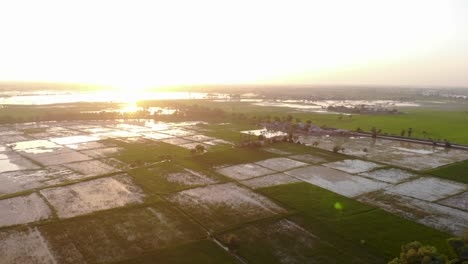 Luftaufnahme-Von-Reisfeldern-Oder-Landwirtschaftlichen-Flächen,-Die-Von-Überschwemmungen-In-Der-Regenzeit-Betroffen-Sind