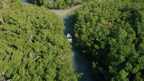 Aerial-view-following-power-boat-moving-through-mangrove-forest-in-water-canals-of-Riviera-Maya,-Mexico-creating-a-wake-in-the-ocean-river-water