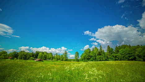 A-countryside-field-of-wildflowers-with-a-cloudscape-overhead---daytime-to-sunset-time-lapse