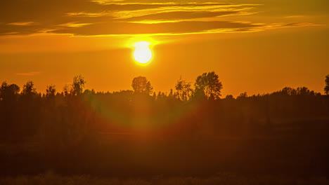 Zeitrafferaufnahme-Des-Goldenen-Sonnenuntergangs-Am-Abend-über-Einem-Feld-Mit-Bäumen