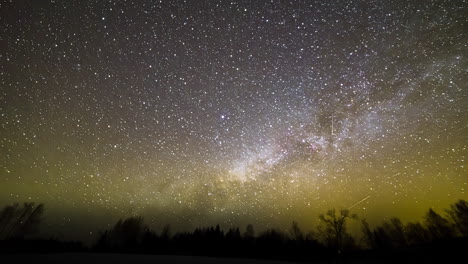 Nachthimmel-Sterne-Zeitraffer-Mit-Dem-Wald-Am-Unteren-Rand