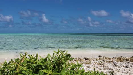 Paradise-found-endless-blue-breathtaking-static-view-caribbean-sandbank,-Los-ROQUES