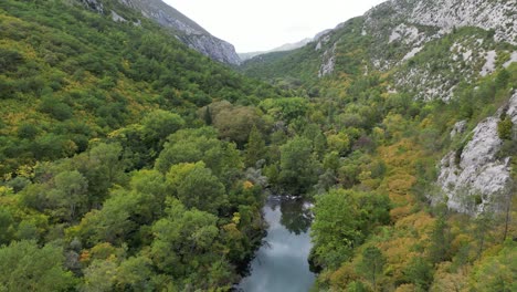 Fluss-Cetina-Kroatien-Tisne-Stine-Canyon-Drone-Luftbild-über-Baumwipfel