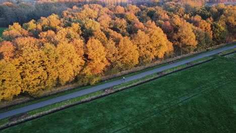 A-biker-on-a-Country-road-with-autumn-colors-in-The-Netherlands
