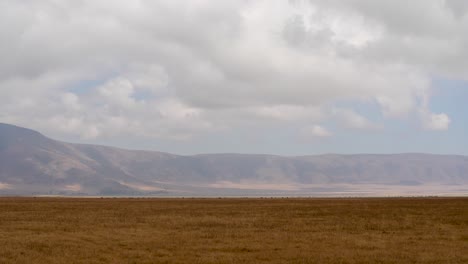 Dry-grasslands-of-Ngorongoro-Crater-natural-preserve-in-Tanzania-Africa-on-cloudy-day,-Aerial-wide-angle-pan-right-shot