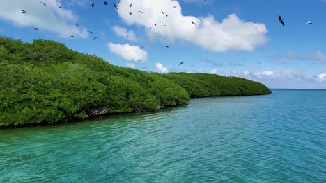 SAILING-TROPICAL-MANGROVE-FOREST-FAR-AWAY-paradise,-sea-birds-fly,-los-Roques