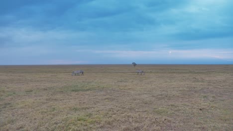 Vista-Sobre-La-Sabana-Africana-Bajo-Un-Cielo-Azul-Con-Algunas-Cebras-Caminando-En-El-Fondo