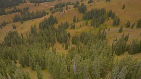 Aerial-tilt-and-boom-down-towards-trees-in-the-Colorado-Rocky-Mountains