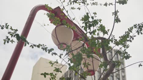 Japanese-Red-Lantern-In-Sao-Paulo