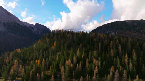 Tre-Cime-hillside-woodland-trees-flyover-to-reveal-rocky-majestic-Dolomite-mountains-in-distance