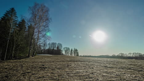 Time-lapse-shot-of-falling-sunlight-at-blue-sky-behind-forest-trees-in-wilderness