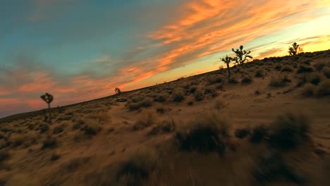 Impresionante-Puesta-De-Sol-En-El-Desierto-De-Mojave:-Vuelo-Rápido-En-Primera-Persona-Entre-árboles-De-Josué-En-Este-Paisaje-Icónico