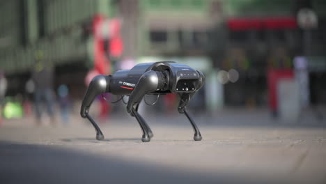 Robot-dog-doing-tricks,-jumping,-dancing,-Xiaomi-CyberDog