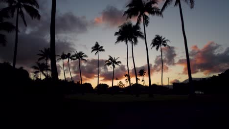 Dramatic-aerial-shot-of-palm-trees-during-sunset,-sunrise,-drone-flying-through-the-trunks