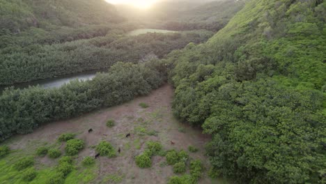 Hermosa-Vista-Aérea-De-La-Naturaleza-Del-Paisaje-De-La-Selva-Del-Río-Wailua-En-Kauai-Hawaii-Con-Cascadas-Y-Otras-Maravillas-Naturales-Escénicas