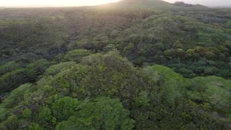 Schöne-Naturluftaufnahme-Des-Tropischen-Dschungels-Des-Regenwaldes-Von-Kauai