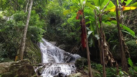 Wide-view-inside-lush-jungle-with-cascading-waterfall