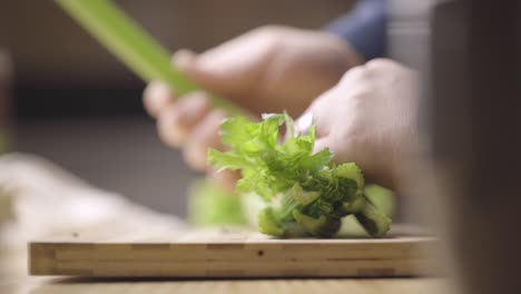 Sorting-parsley-sticks-for-cooking.-making-Green-smoothies