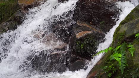 Beautiful-waterfall-in-lush-jungle,-close-up-view