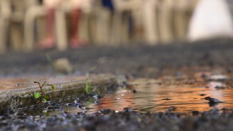 Close-up-of-water-drops-landing-in-a-small-puddle-with-small-weeds-growing-from-the-ground-in-Koror,-Palau-in-slow-motion