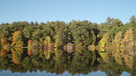 A-panning-shot-of-a-distant-early-autumn-forest-beyond-a-reflective-lake-revealing-a-beach,-with-a-tree-in-the-foreground-providing-depth