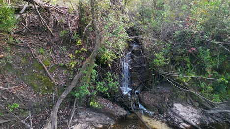Wasserfall,-Der-In-Den-Econfina-Creek-In-Florida-Panhandle-Fließt