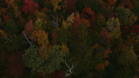 Fall-Foliage-Bird's-Eye-Pan-to-reveal-Mountains-at-sunrise