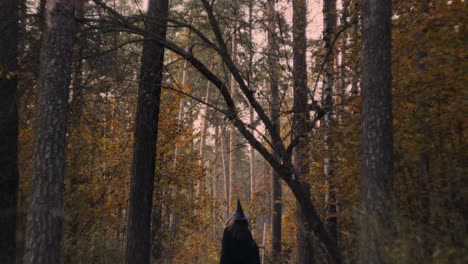 Witch-is-walking-in-the-woods-walking-with-her-broomstick,-fantasy-role-play-concept