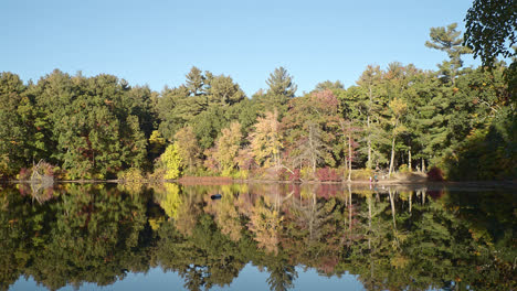 Panning-shot-of-a-dense-early-autumn-forest-surrounding-a-reflective-lake-under-a-blue-sky
